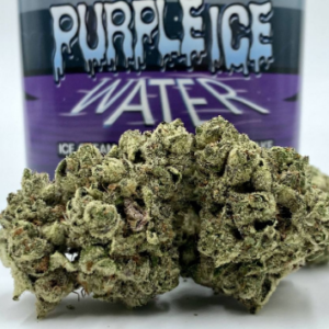 (KACHE) - Purple Ice Water *FRESH STOCK*